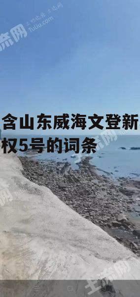 包含山东威海文登新城债权5号的词条