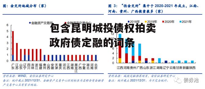 包含昆明城投债权拍卖政府债定融的词条