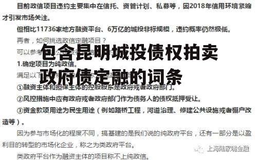 包含昆明城投债权拍卖政府债定融的词条