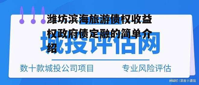 潍坊滨海旅游债权收益权政府债定融的简单介绍