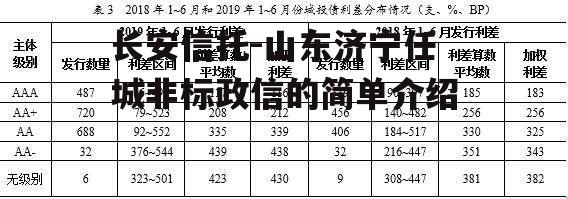 长安信托-山东济宁任城非标政信的简单介绍