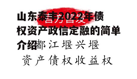 山东泰丰2022年债权资产政信定融的简单介绍