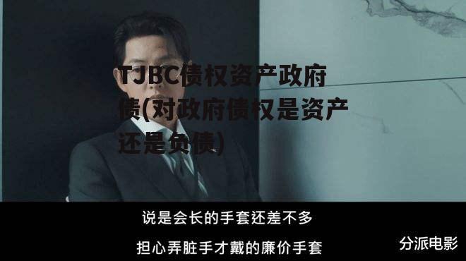 TJBC债权资产政府债(对政府债权是资产还是负债)