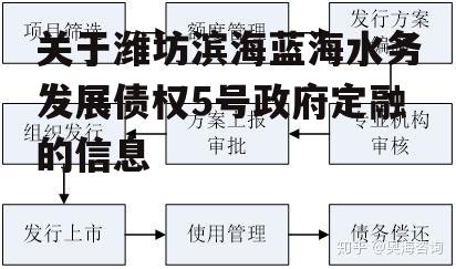 关于潍坊滨海蓝海水务发展债权5号政府定融的信息