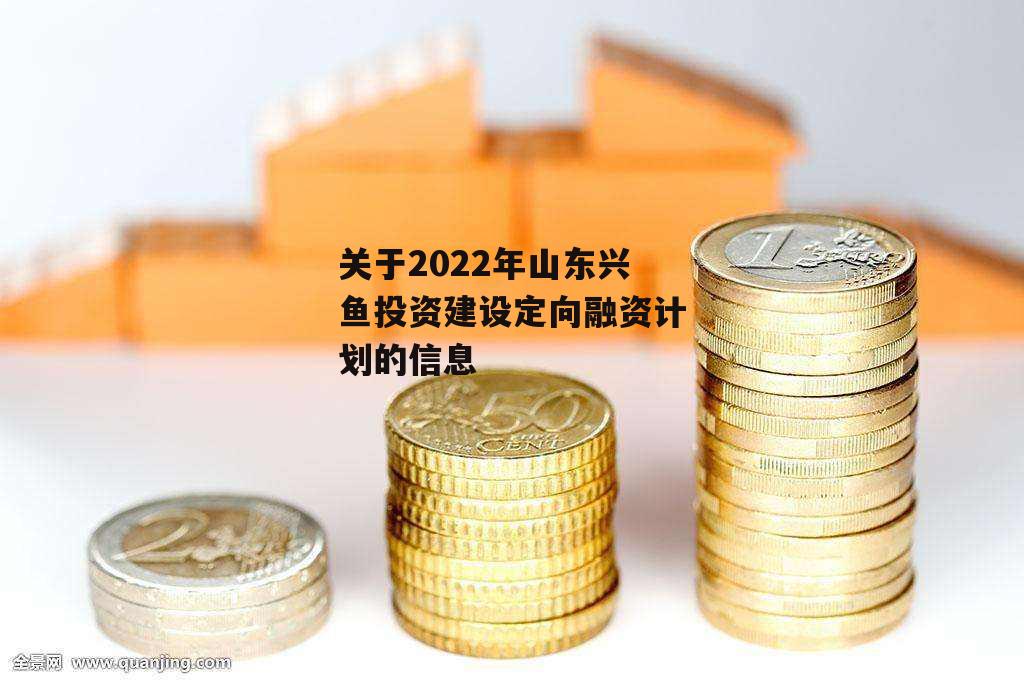 关于2022年山东兴鱼投资建设定向融资计划的信息