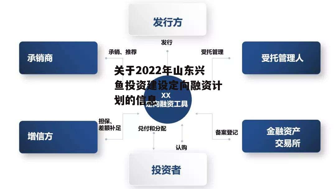 关于2022年山东兴鱼投资建设定向融资计划的信息