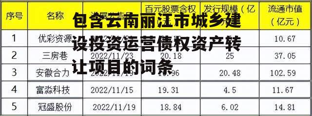 包含云南丽江市城乡建设投资运营债权资产转让项目的词条