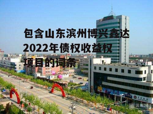 包含山东滨州博兴鑫达2022年债权收益权项目的词条