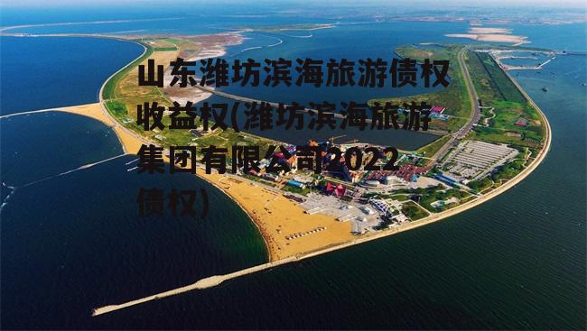 山东潍坊滨海旅游债权收益权(潍坊滨海旅游集团有限公司2022债权)