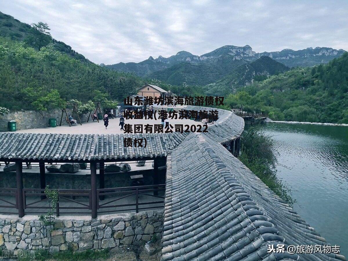 山东潍坊滨海旅游债权收益权(潍坊滨海旅游集团有限公司2022债权)