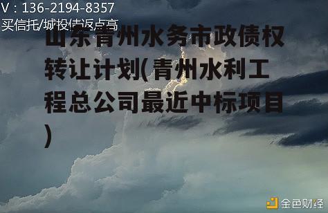 山东青州水务市政债权转让计划(青州水利工程总公司最近中标项目)