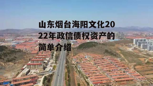 山东烟台海阳文化2022年政信债权资产的简单介绍