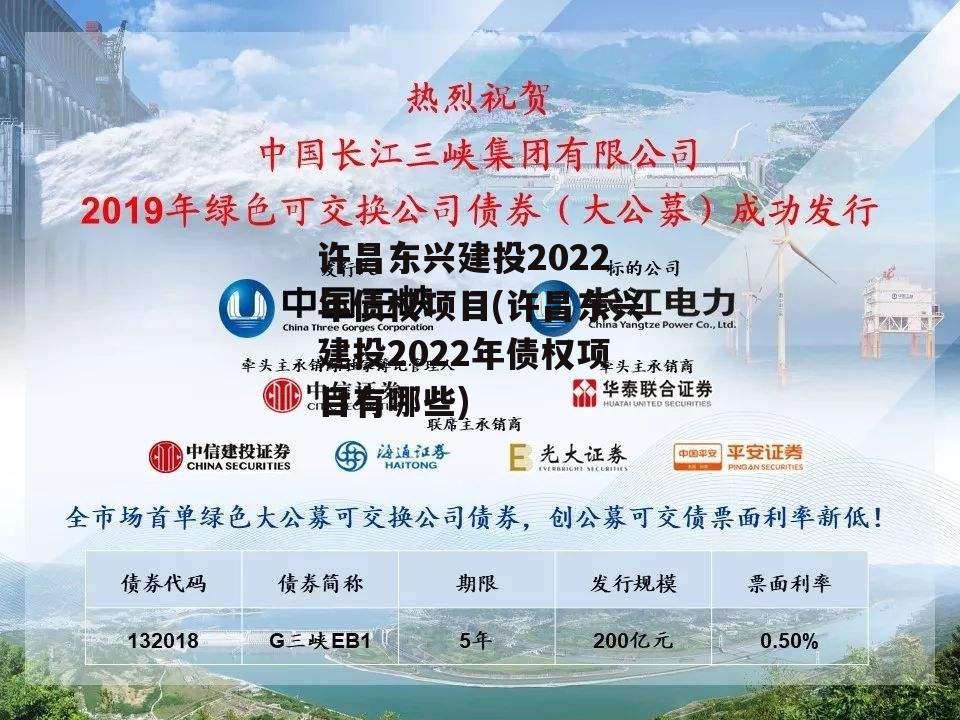 许昌东兴建投2022年债权项目(许昌东兴建投2022年债权项目有哪些)