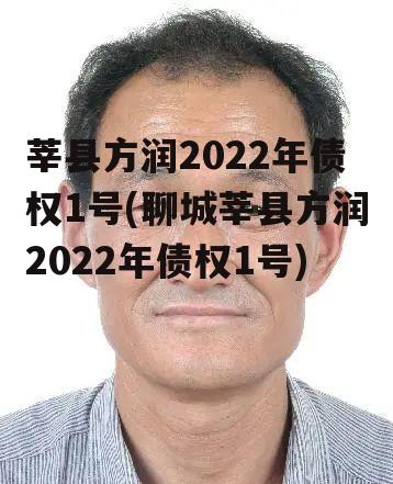 莘县方润2022年债权1号(聊城莘县方润2022年债权1号)