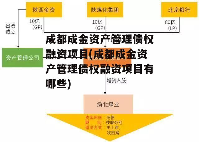 成都成金资产管理债权融资项目(成都成金资产管理债权融资项目有哪些)