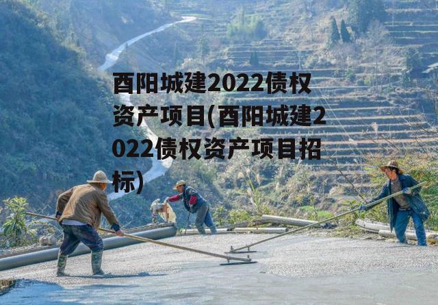 酉阳城建2022债权资产项目(酉阳城建2022债权资产项目招标)