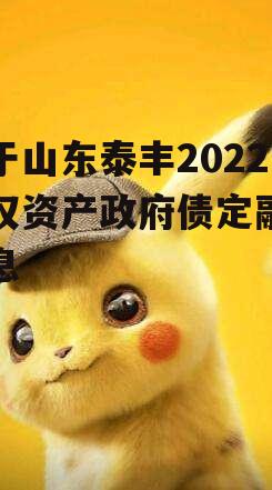 关于山东泰丰2022债权资产政府债定融的信息