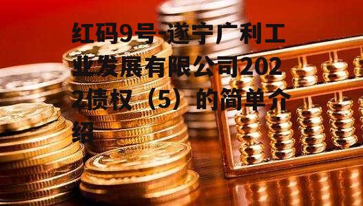 红码9号-遂宁广利工业发展有限公司2022债权（5）的简单介绍