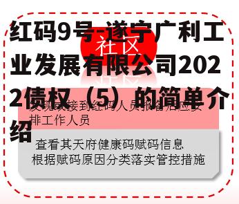 红码9号-遂宁广利工业发展有限公司2022债权（5）的简单介绍