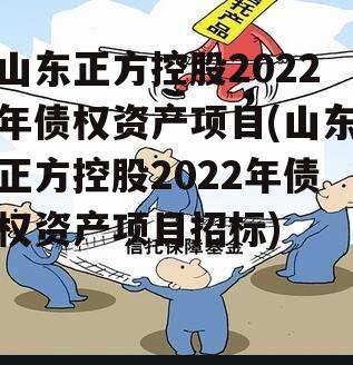 山东正方控股2022年债权资产项目(山东正方控股2022年债权资产项目招标)