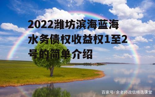 2022潍坊滨海蓝海水务债权收益权1至2号的简单介绍