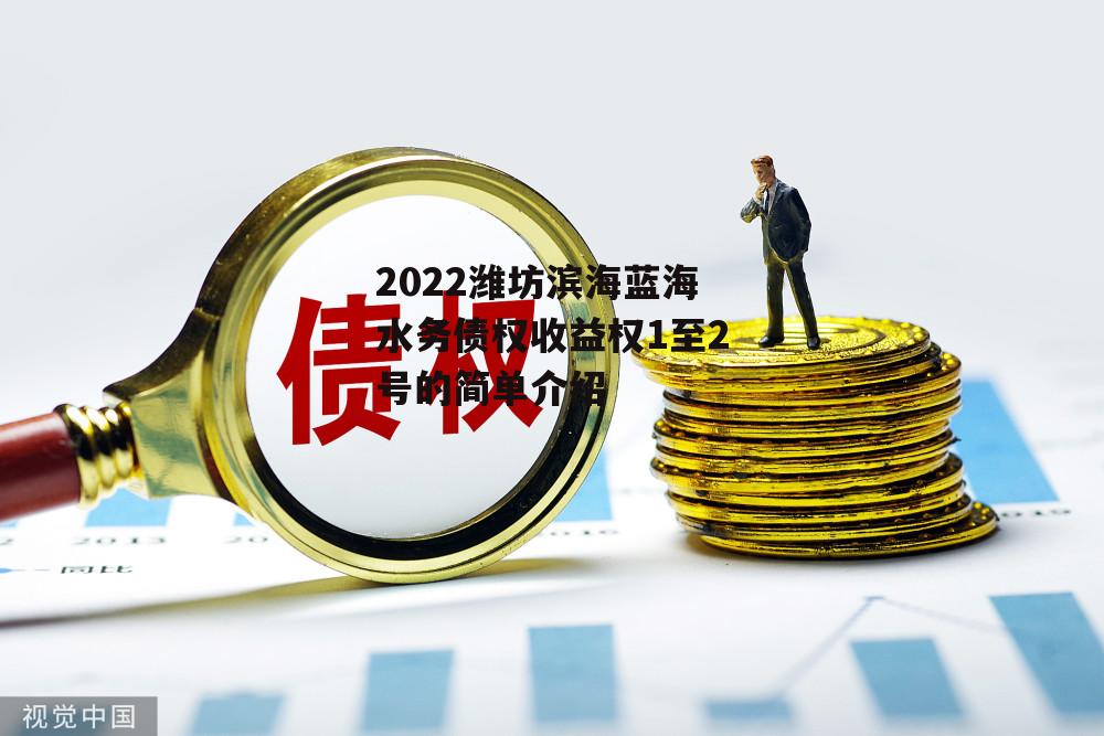 2022潍坊滨海蓝海水务债权收益权1至2号的简单介绍