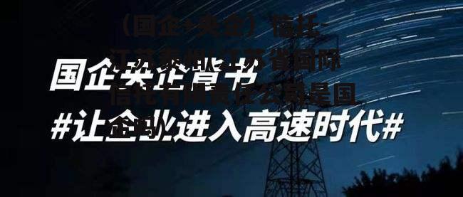 （国企+央企）信托-江苏泰州(江苏省国际信托有限责任公司是国企吗)