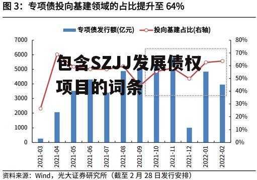 包含SZJJ发展债权项目的词条