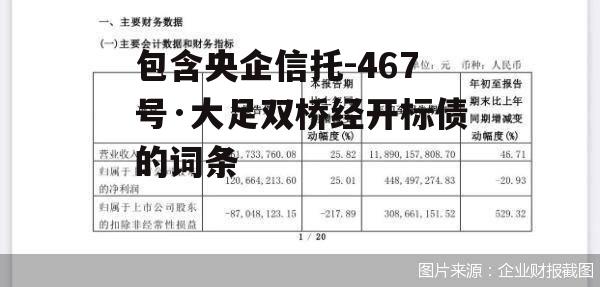 包含央企信托-467号·大足双桥经开标债的词条