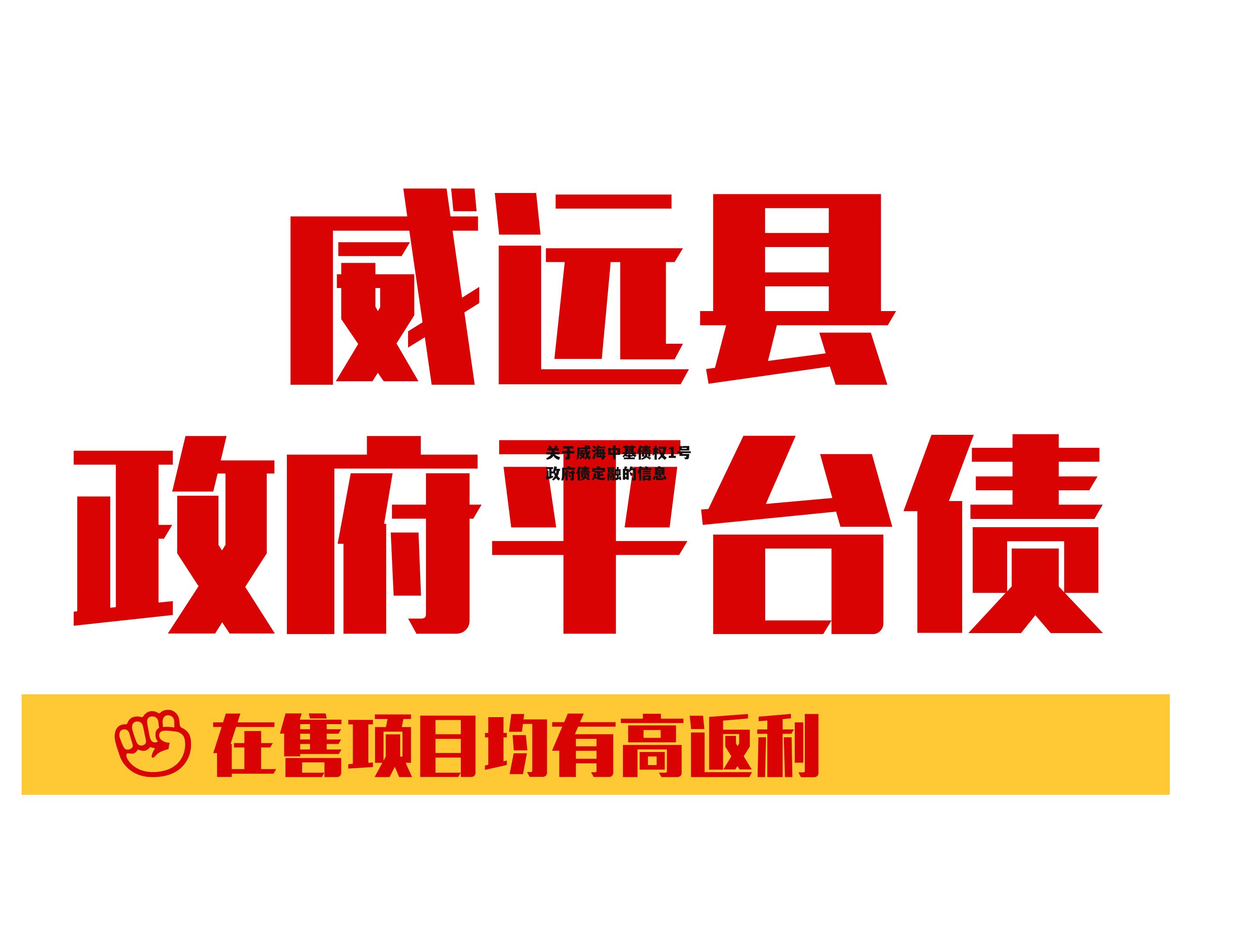 关于威海中基债权1号政府债定融的信息