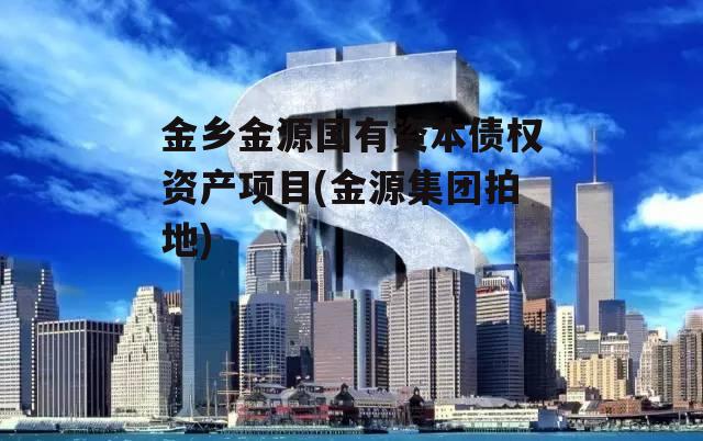 金乡金源国有资本债权资产项目(金源集团拍地)