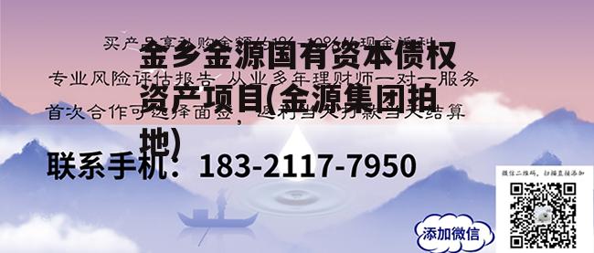 金乡金源国有资本债权资产项目(金源集团拍地)