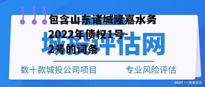 包含山东诸城隆嘉水务2022年债权1号-2号的词条