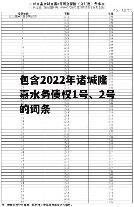 包含2022年诸城隆嘉水务债权1号、2号的词条