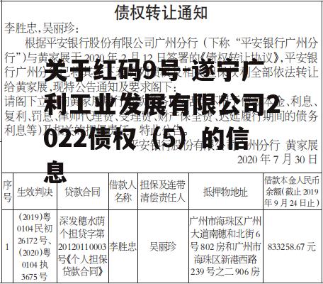 关于红码9号-遂宁广利工业发展有限公司2022债权（5）的信息