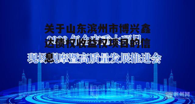 关于山东滨州市博兴鑫达债权收益权项目的信息