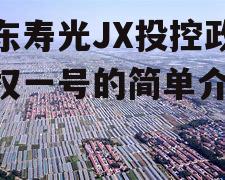 山东寿光JX投控政信债权一号的简单介绍