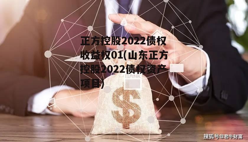 正方控股2022债权收益权01(山东正方控股2022债权资产项目)