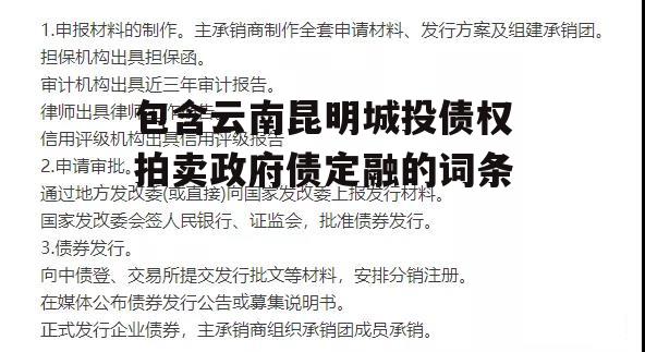 包含云南昆明城投债权拍卖政府债定融的词条