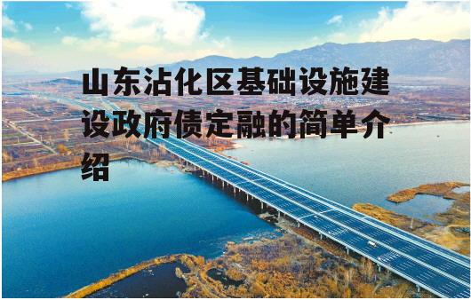 山东沾化区基础设施建设政府债定融的简单介绍