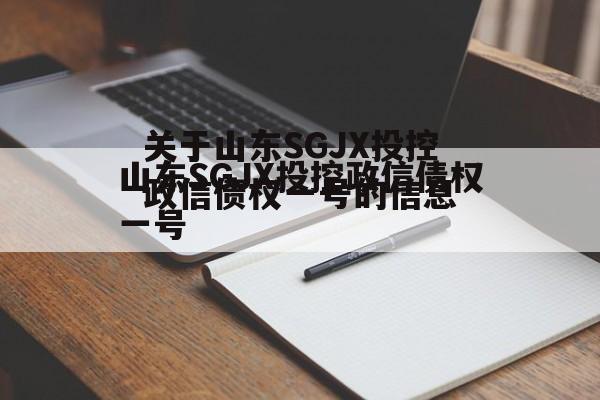 关于山东SGJX投控政信债权一号的信息