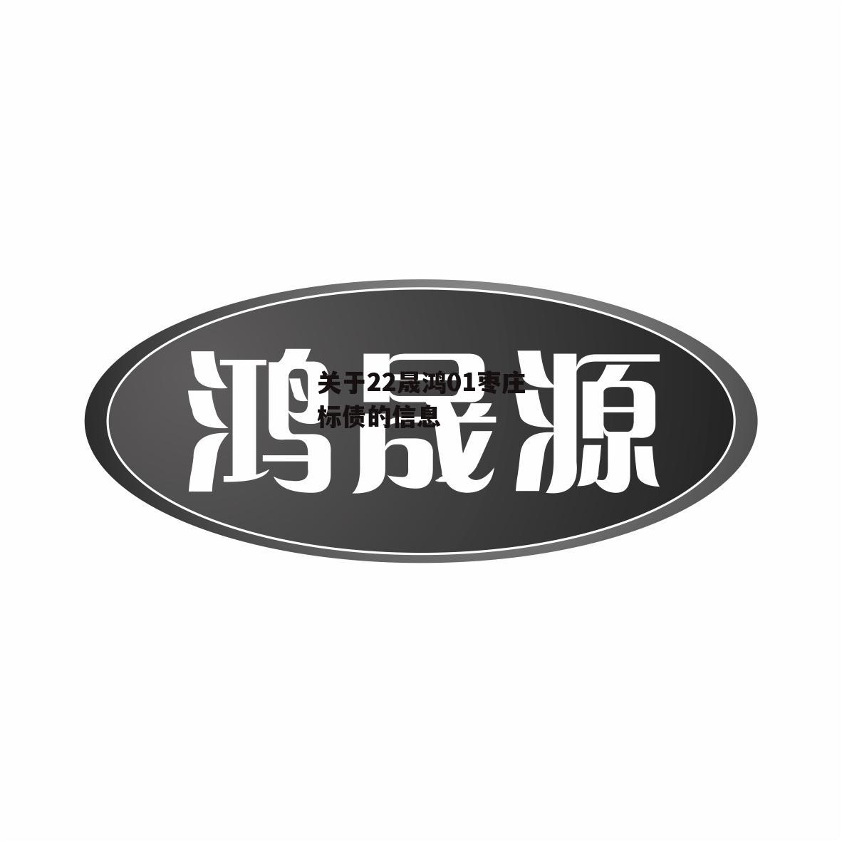 关于22晟鸿01枣庄标债的信息