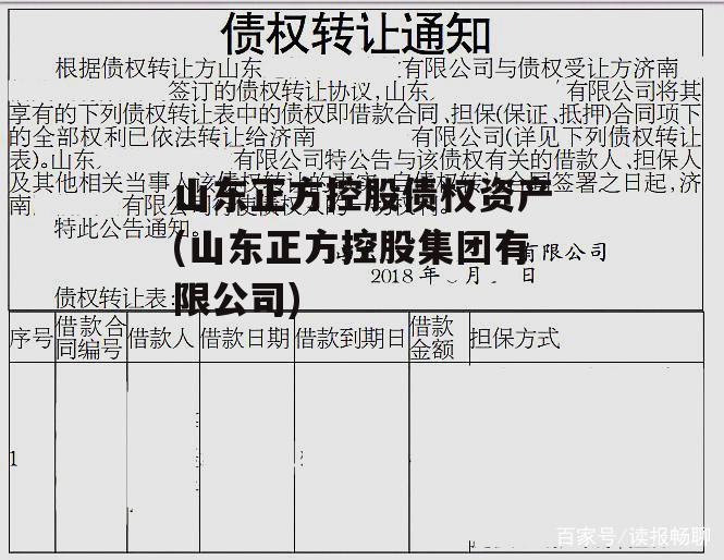 山东正方控股债权资产(山东正方控股集团有限公司)