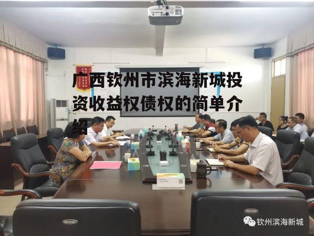 广西钦州市滨海新城投资收益权债权的简单介绍