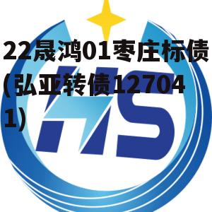 22晟鸿01枣庄标债(弘亚转债127041)