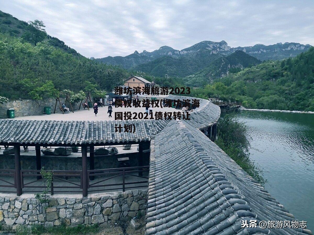 潍坊滨海旅游2023债权收益权(潍坊滨海国投2021债权转让计划)