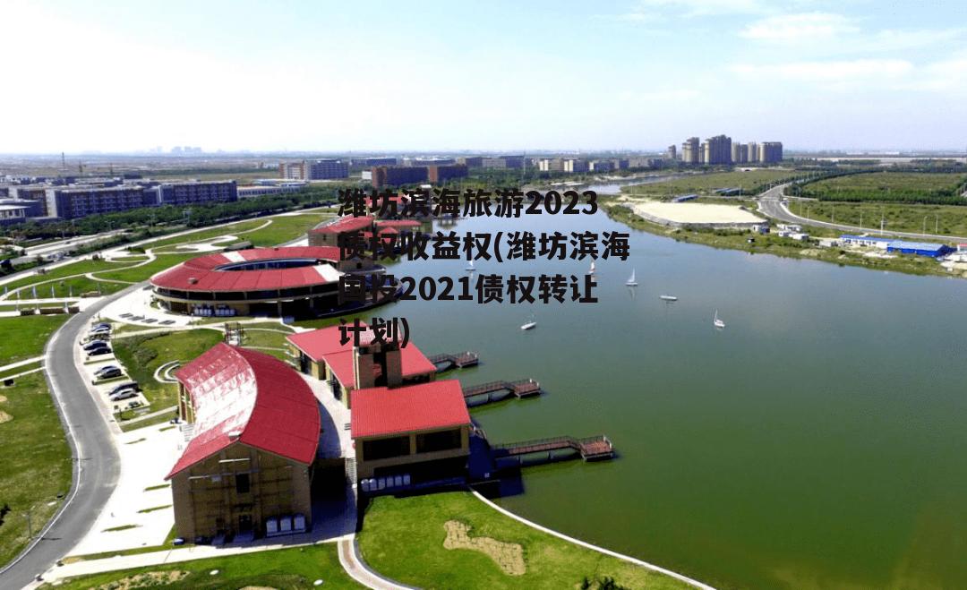 潍坊滨海旅游2023债权收益权(潍坊滨海国投2021债权转让计划)