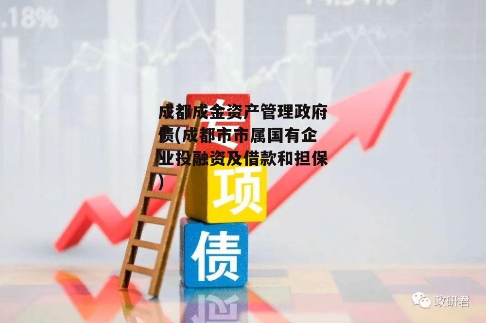 成都成金资产管理政府债(成都市市属国有企业投融资及借款和担保)