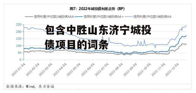 包含中胜山东济宁城投债项目的词条