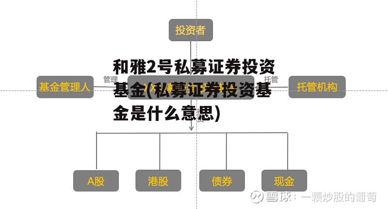 和雅2号私募证券投资基金(私募证券投资基金是什么意思)